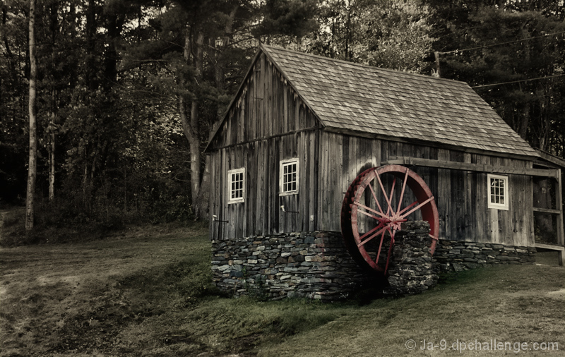 A Grandfather's Mill ~ wetland