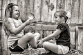 The Storyteller