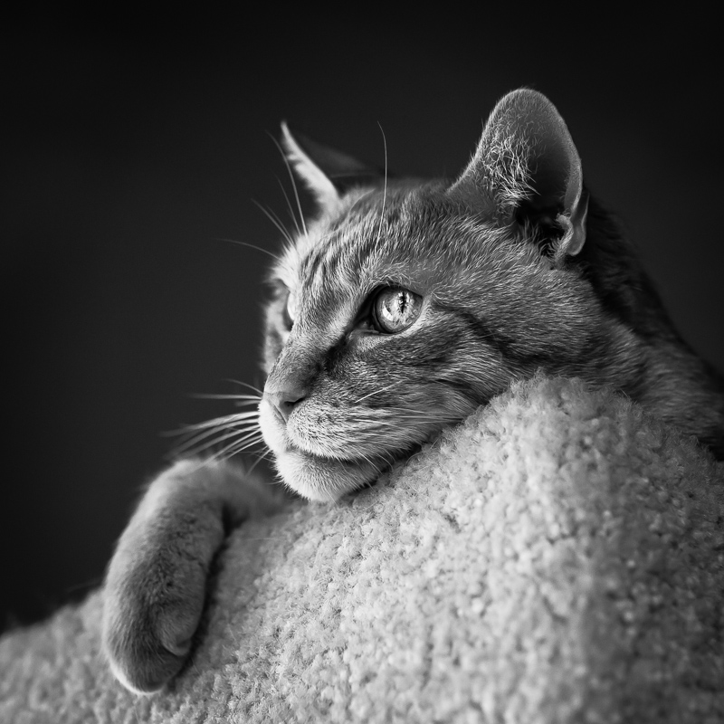 Its hard being so good looking.