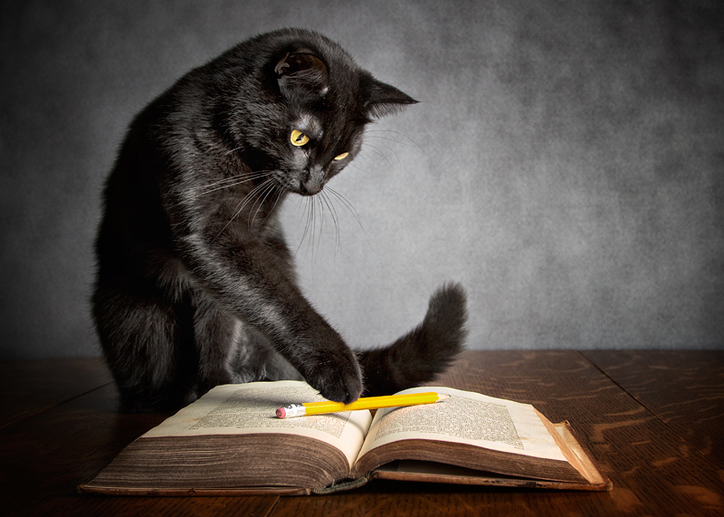 Curiosity