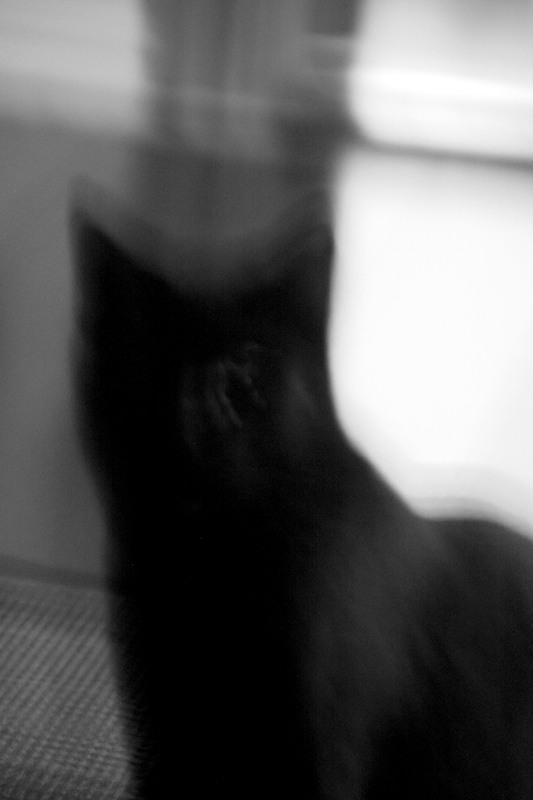 One Eyed Jack