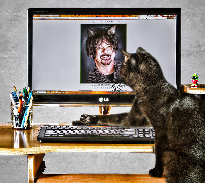 Art Roflmeow? Cat. DNMC -- 1. Oh wait, that's the idea -- 10! But it's not a photo of me.. back to 1