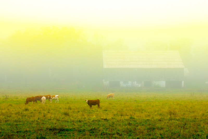 a strange fog rolls in