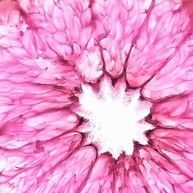 Abstract in Pink