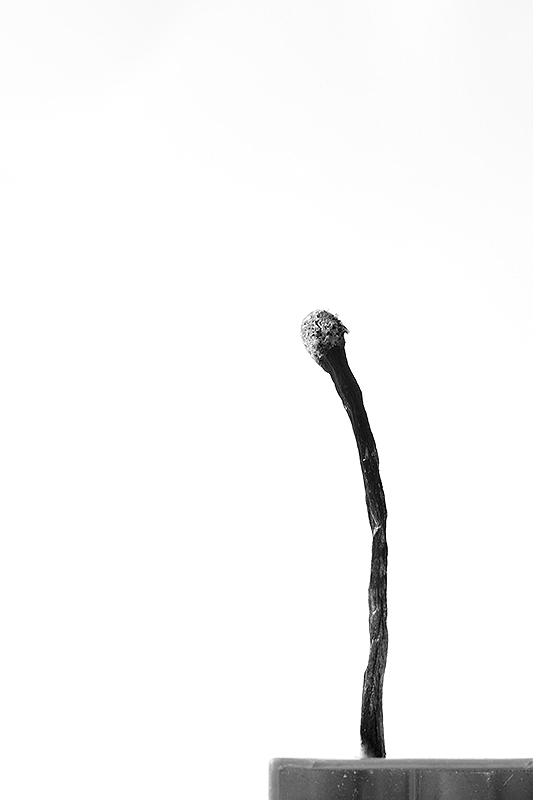 Burned match