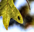 The Feel of Fall