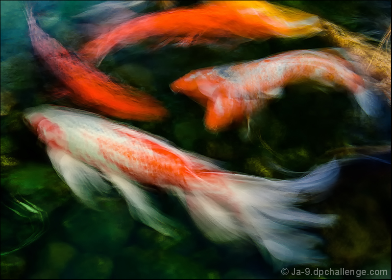 The Water Babies ~ Charles Kingsley