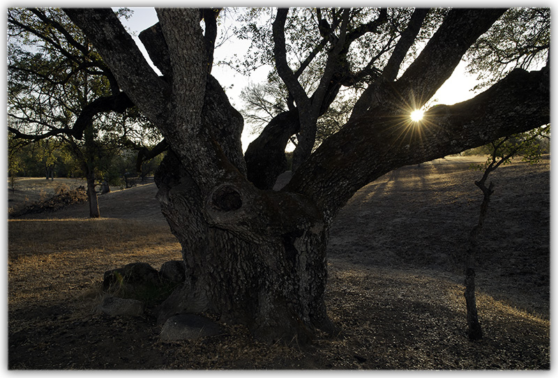 Sunset at The Climbing Tree