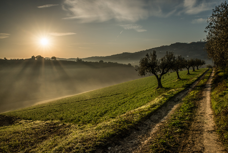 Sunrays at Sunrise