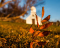 Foliage and Church