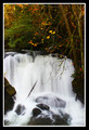 Fall Foliage at the Falls