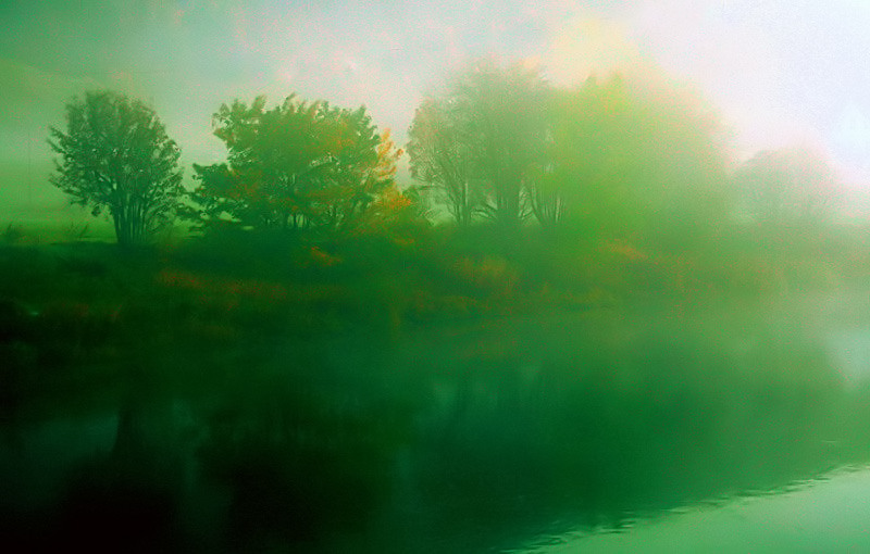 Fog Fall