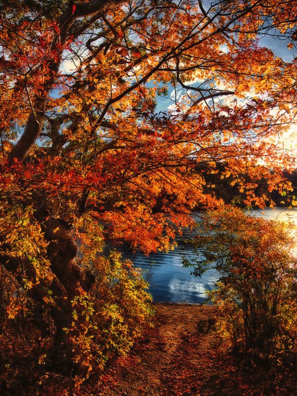 Late October on Canoe Pond