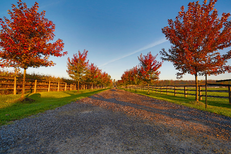 October morning in Canada