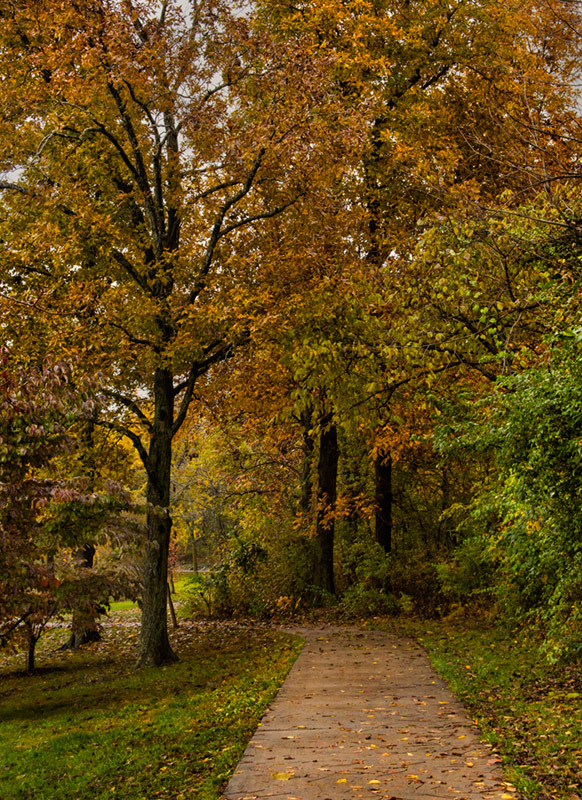 Along the Path