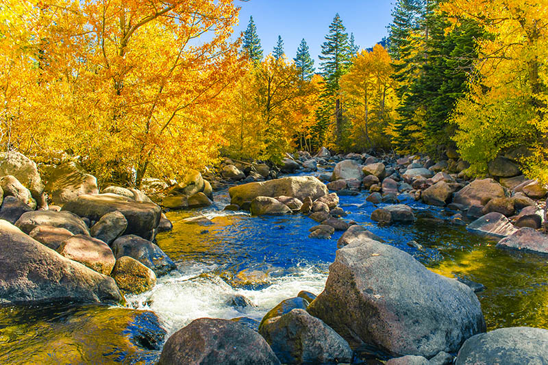 Carson Pass