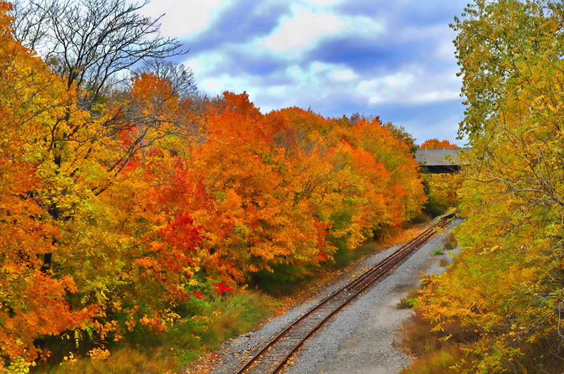 Autumn tracks