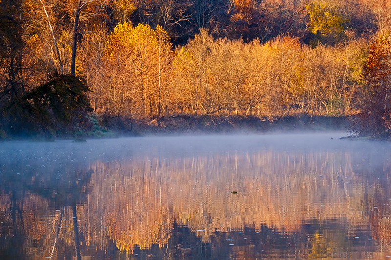 The Mists of Fall