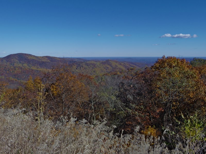 Foliage Peepin' Skyline Drive