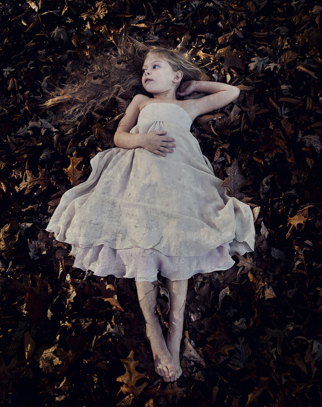 Fall Dream