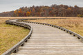 The Bog Boardwalk