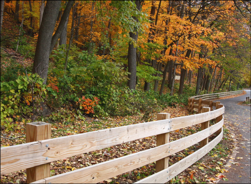 Fenced In