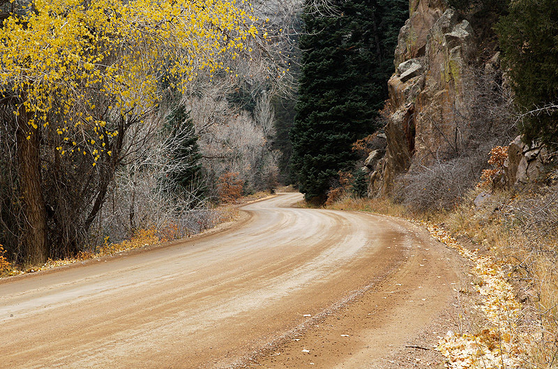 Get Home Before the Snow Flies