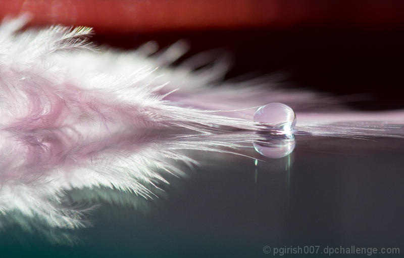 A drop with feather!