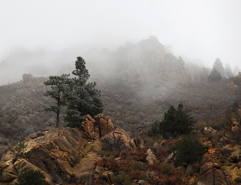 Fog Rolling In