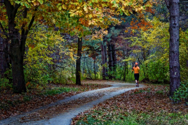 Fall Run