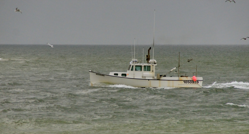 Fishing Boat