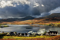 Wintry Showers