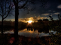 Pond in the morning