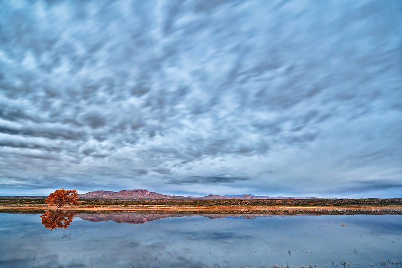 Predawn Serenity