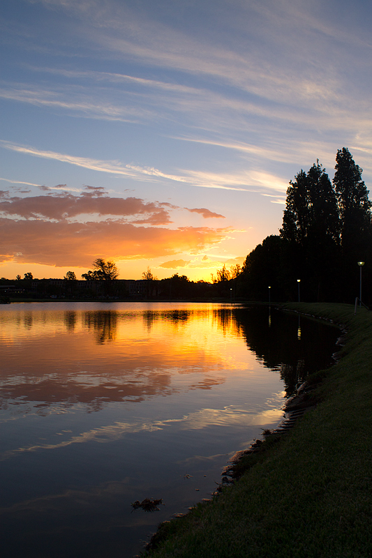 Duck Pond Dusk