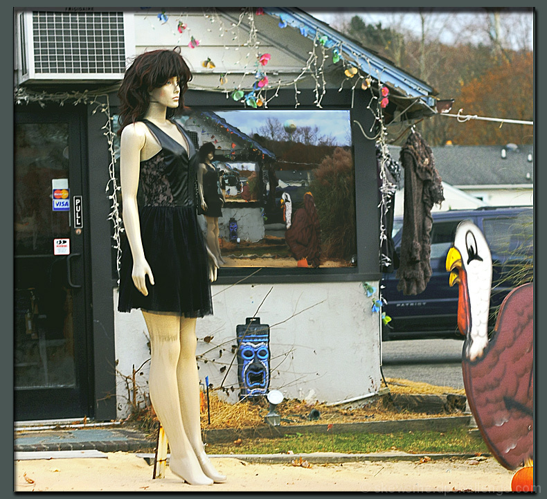 What did the turkey say to the thrift shop mannequin?