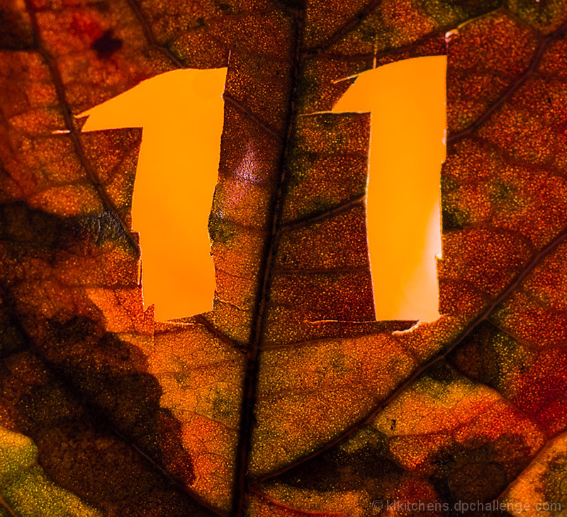 november's number