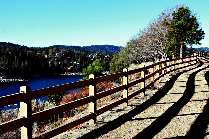 Lake Park Landscape