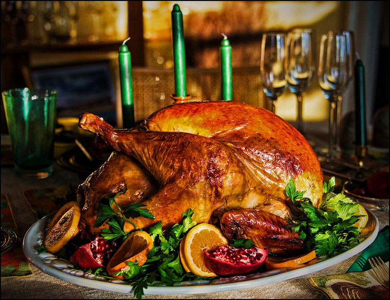 The Traditional Bird...