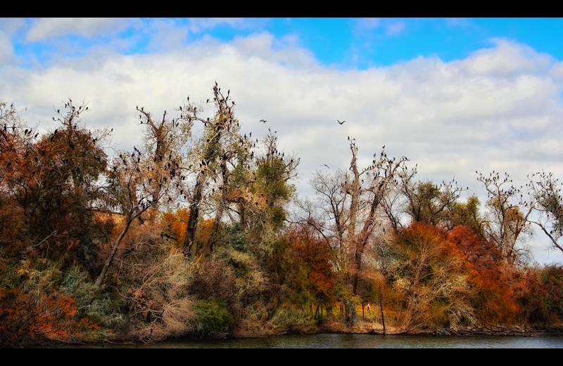 White Rock Lake