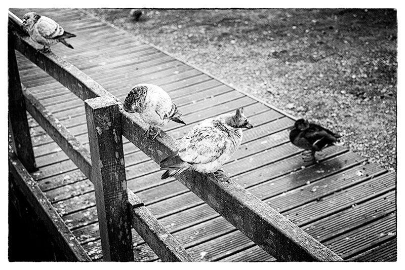 Together Alone