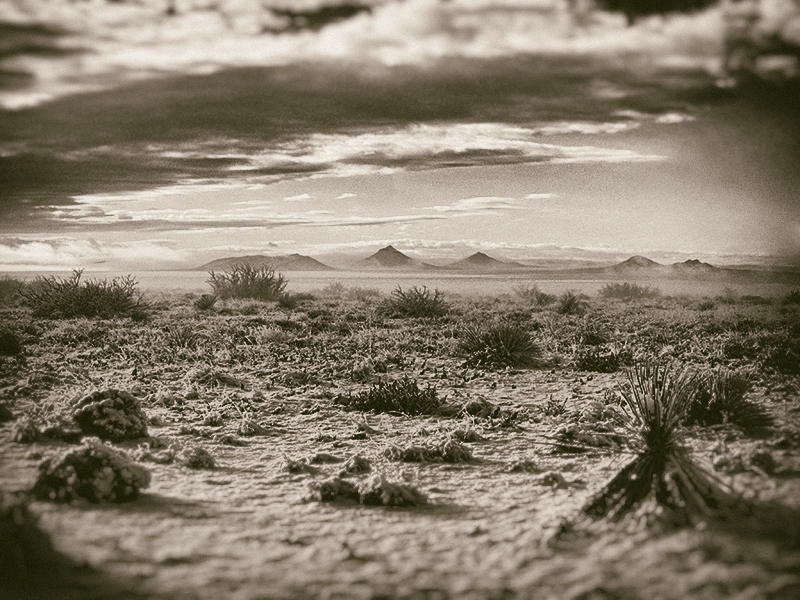 New Mexico