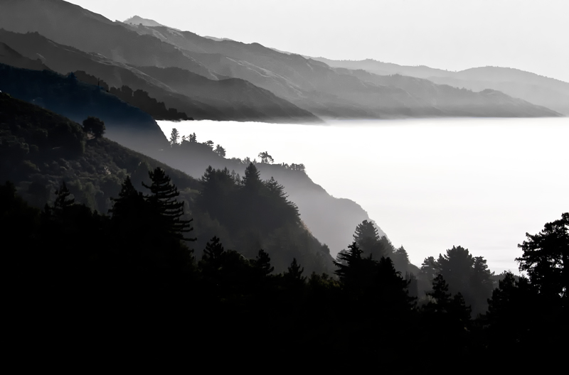 The Veiled Valley 