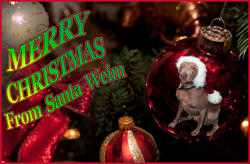 Merry Christmas From Santa Weim