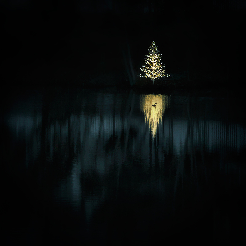 Silent Night (Feliz Naviduck)