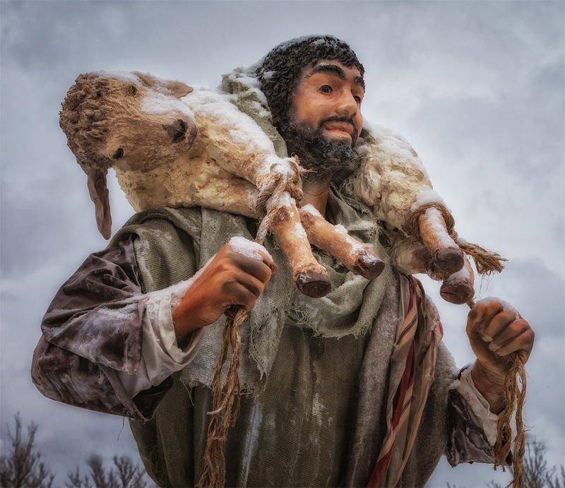 . . . tending their sheep . . .