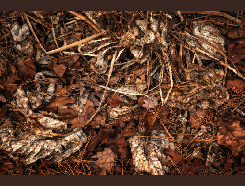 And the dead leaves lie huddled and still, no longer blown hither and thither...