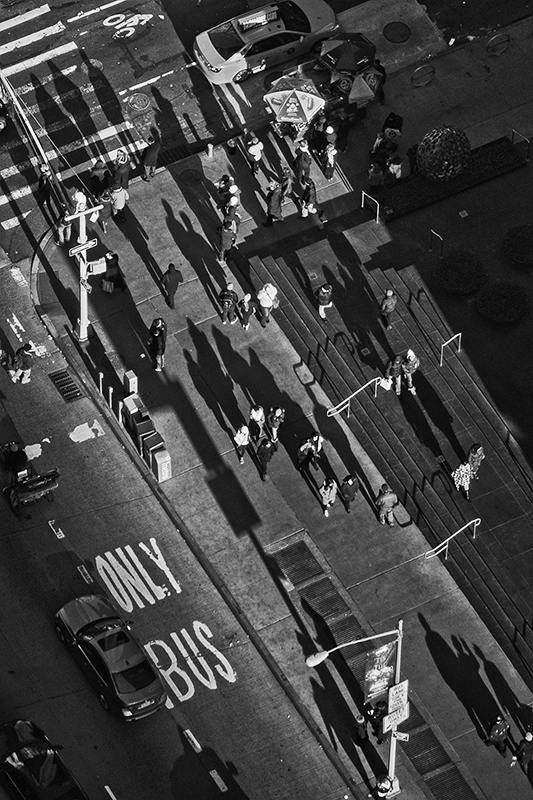 midday shadows
