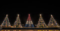 Five lighted trees overlooking the city.