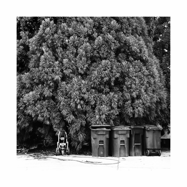 intreeging